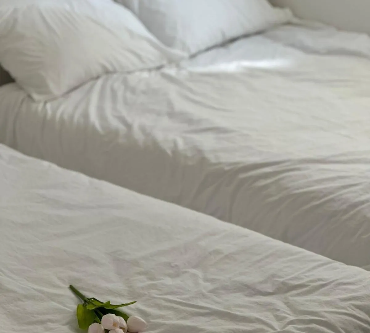 Villa Ballena Hongdae Seoul